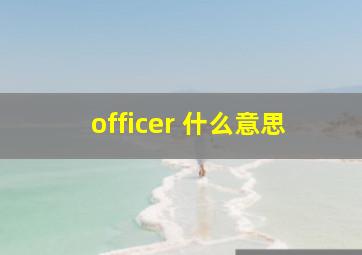 officer 什么意思